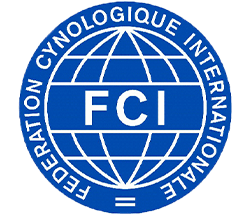 Galgenkopf - Hovawart - FCI