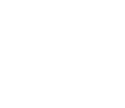 Galgenkopf - Hovawart - RZV